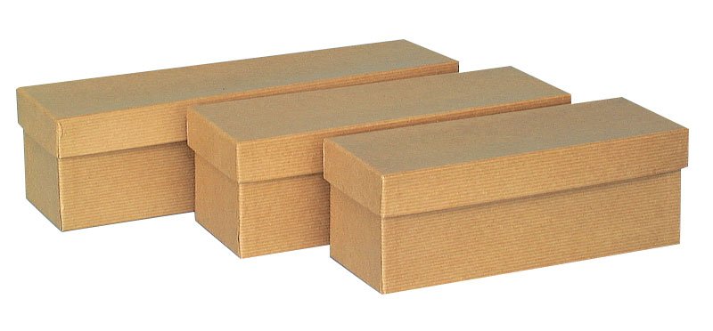GC Study Model Box 9 x 3 x 3 - DMI Dental Consumables Ireland - Next Day Delivery