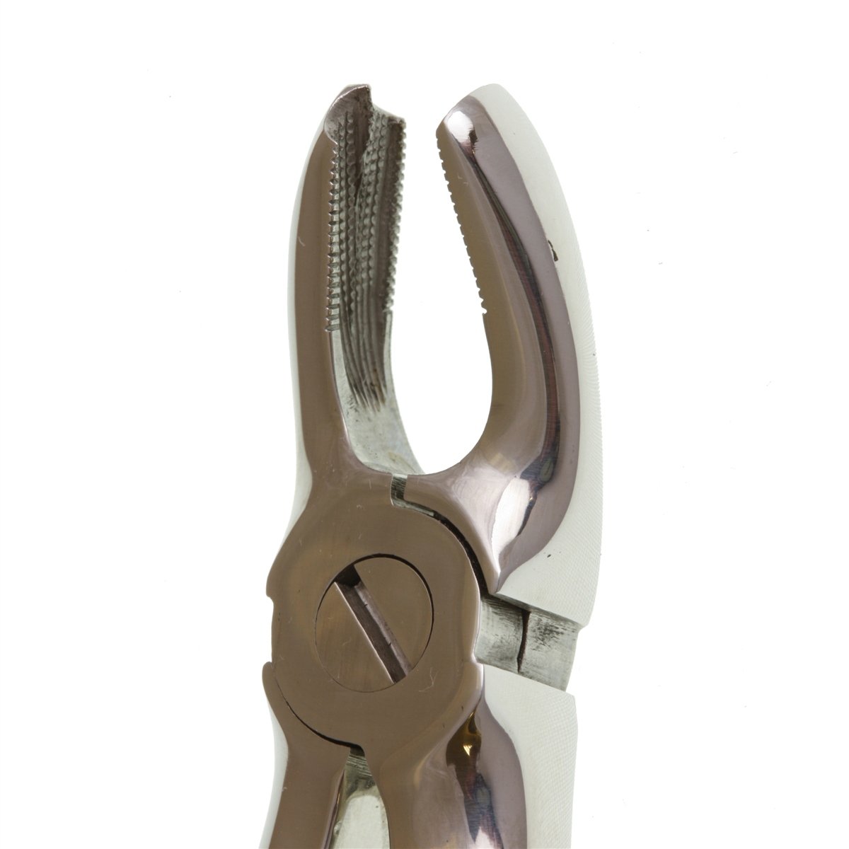 Perfection Plus ECO+ Upper Extraction Forceps No.1 - DMI Ireland's Leading Dental Supplier - Next Day Delivery
