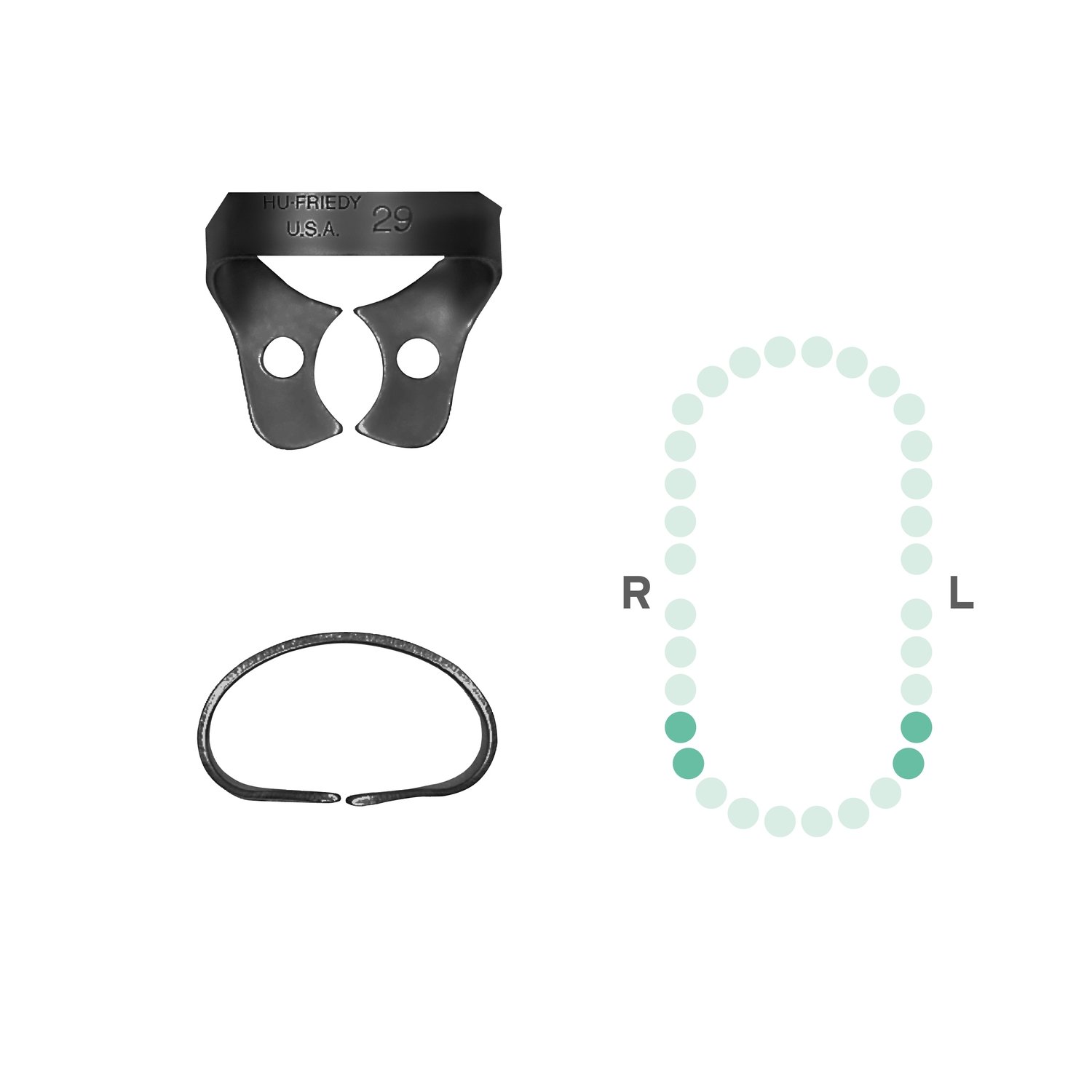 Hu-Friedy Rubber Dam Clamps Wingless - Single No.29 - DMI Dental Supplies Ireland - Next Day Delivery