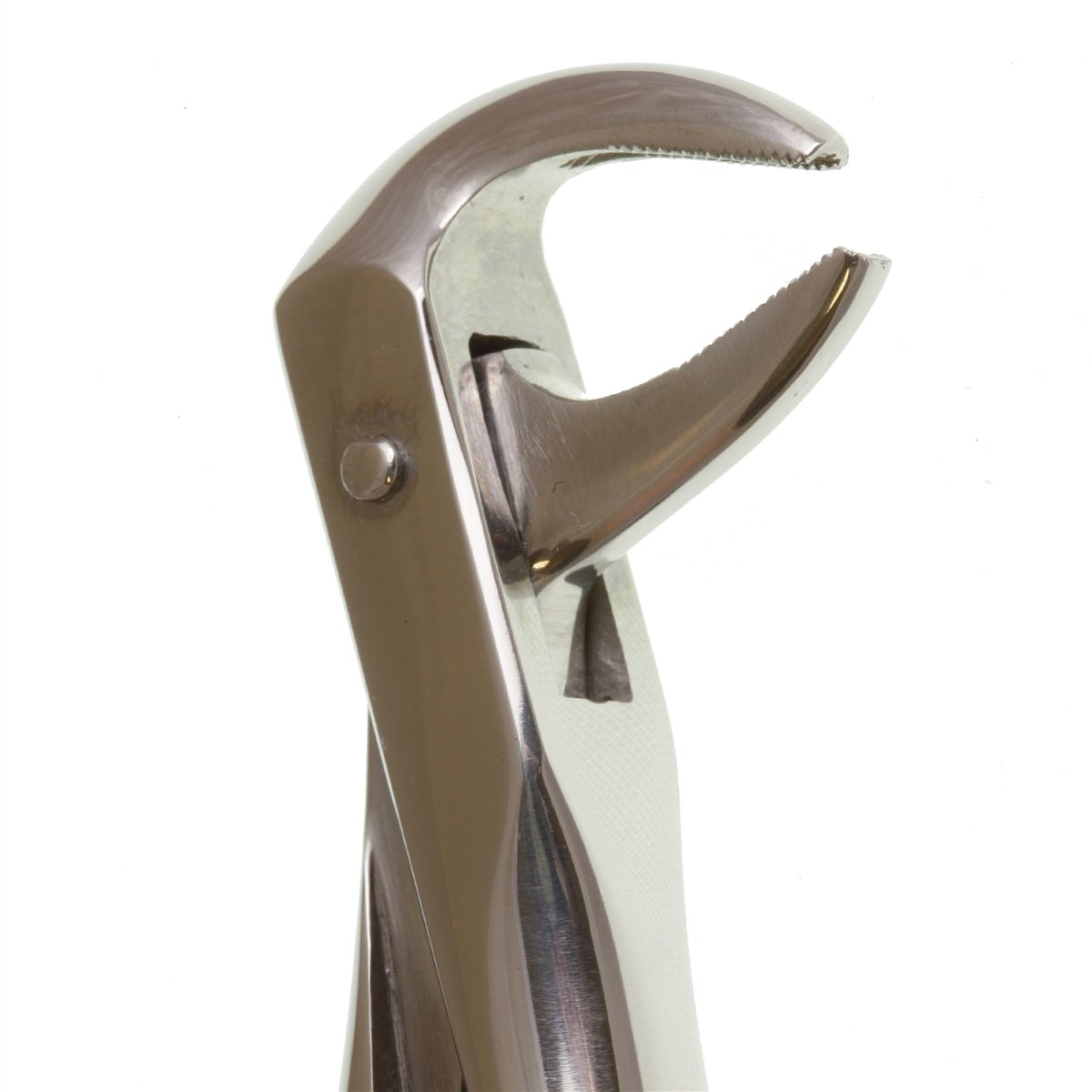 Perfection Plus ECO+ Lower Extraction Forceps No.74 - DMI Ireland's Leading Dental Supplier - Next Day Delivery