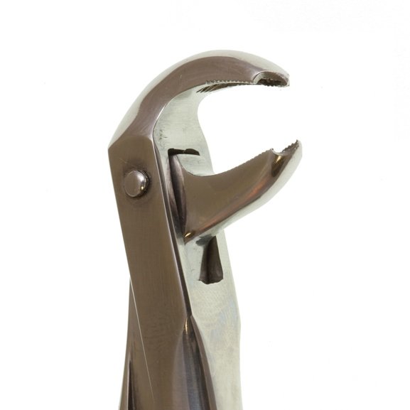 Perfection Plus ECO+ Lower Extraction Forceps No.73 - DMI Ireland's Leading Dental Supplier - Next Day Delivery